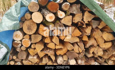 Stacked fresh firewood logs laid in a pile in winter forest. Prepared fuel for the fireplace. Cuting split wood logs unter the snow. Stock Photo