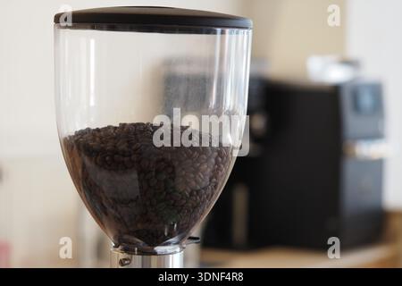 Coffee grinder filled with beans at a cafe in the morning Stock Photo
