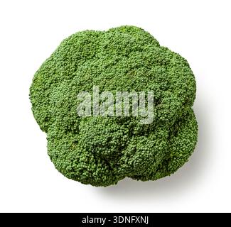 fresh raw broccoli isolated on white background, top view Stock Photo
