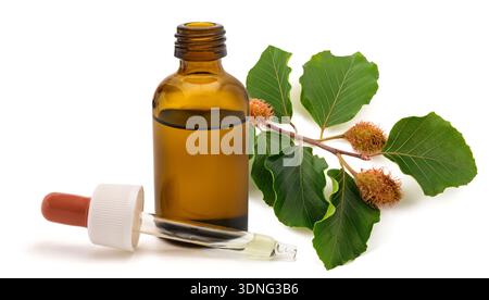 Beech branch with essence bottle isolated on white Stock Photo