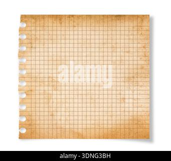 Torn piece of old squared paper isolated on white Stock Photo