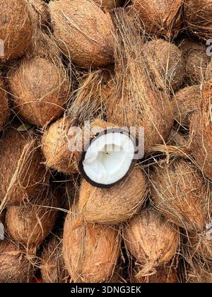 fresh coconuts displayed for sale on street market.this photo was taken from Chittagong,Bangladesh. Stock Photo