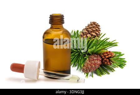 Pine mugo essential oil in glass bottle with dropper. Natural herbal extract used for aromatherapy, wellness, spa and alternative medicine. Stock Photo