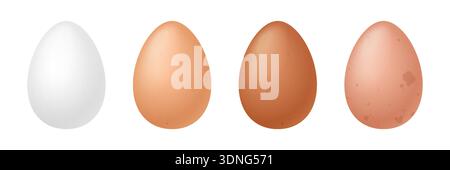 Set of whole chicken eggs in various natural shell colors, showing realistic detail and smooth texture. Food, farming, and nutrition concepts, isolated on white background vector illustration Stock Vector
