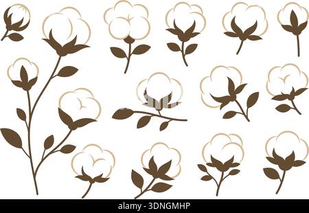 Cotton plants set. Elegant vector floral element perfect for eco designs and botanical compositions Stock Vector