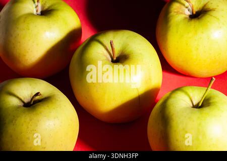yellow apple on red background Stock Photo