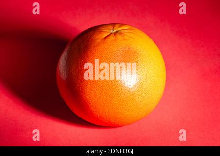 one grapefruit on red background Stock Photo