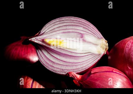 sliced red onion on black background Stock Photo