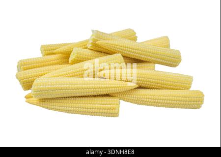 Fresh baby corn cobs stacked together isolated on white background raw vegetable ingredient for healthy cooking asian cuisine. Stock Photo