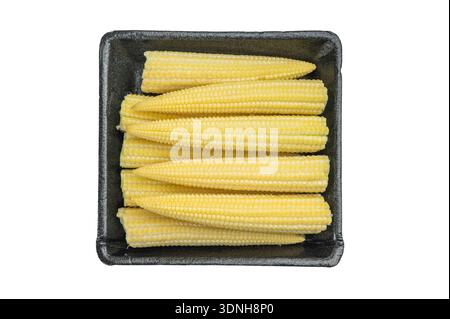 Fresh baby corn cobs packed in black foam tray isolated on white background raw vegetable ingredient for grocery retail. Stock Photo