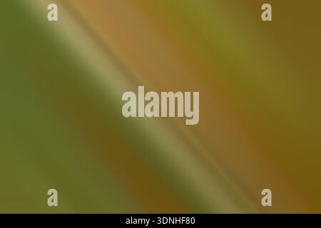 A vibrant green and orange striped background. The stripes are bold and stand out against the background, creating a striking visual effect. The color Stock Photo