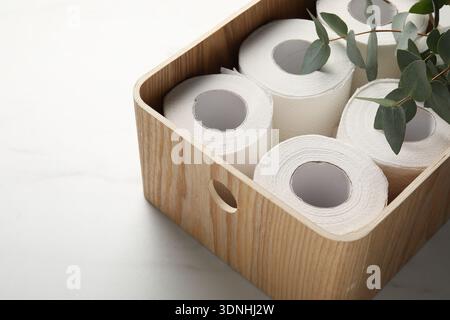 Toilet paper rolls in box and eucalyptus on white table, closeup Stock Photo