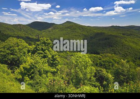Siebengebirge, low mountain range on the right bank of the Rhine; view from Koenigswinter, Germany, North Rhine-Westphalia, Koenigswinter Stock Photo