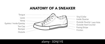 Sneaker trainer anatomy diagram single line. Tongue, lace, eyelet and collar construction for learning, professional reference. Technical fashion illustration CAD mockup vector isolated classic style Stock Vector