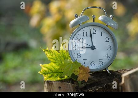 A vintage alarm clock sits on a tree stump with fall foliage. The clock shows the time, and the leaves add a touch of seasonal beauty. Stock Photo