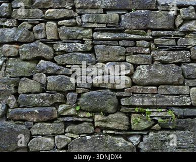 Distressed Historic Dry Stone Wall Masonry Texture with Greenery Stock Photo