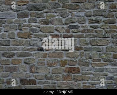 Rustic Weathered Dry Stone Wall Seamless Rock Texture Stock Photo