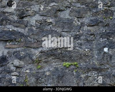 Moody Stone Facade Rough Texture Stock Photo