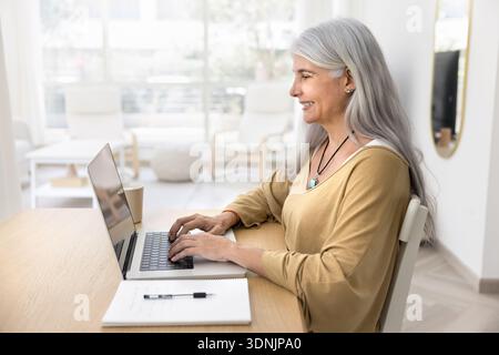 Smiling mature woman working on her laptop Stock Photo