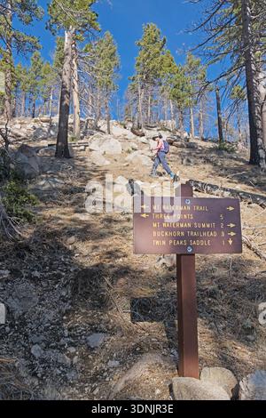 woman hiking on the Mount Waterman Trail behind a trail junction sign in the San Gabriel Mountains Stock Photo