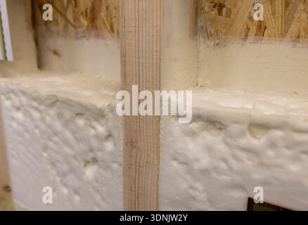 Section of wall of prefabricated house with wooden construction and thermal foam as insulation inside Stock Photo