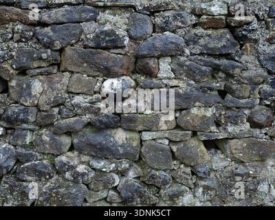 Historic Mineral stained dry stone wall Stock Photo