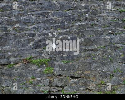 Rustic Limestone Masonry Wall with Natural Overgrowth Texture Stock Photo
