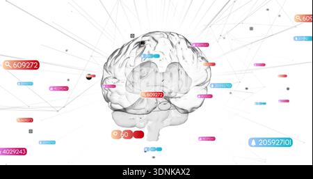 Displaying translucent grayscale 3D brain in white digital space, with colored labels and nodes Stock Photo