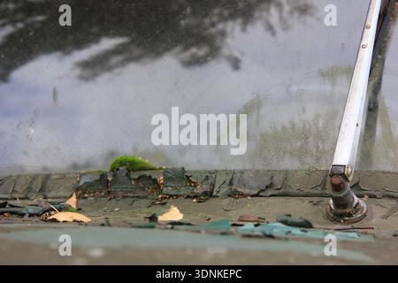 Moss and Peeling Paint on an Abandoned Car Windshield Stock Photo