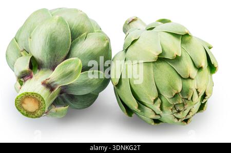 Two french artichokes isolated on white background. File contains clipping paths. Stock Photo
