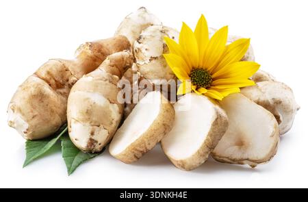 Freshly harvested Jerusalem artichoke (sunchoke) tubers with a yellow flower and green leaves, isolated on a white background. This unique, healthy ro Stock Photo