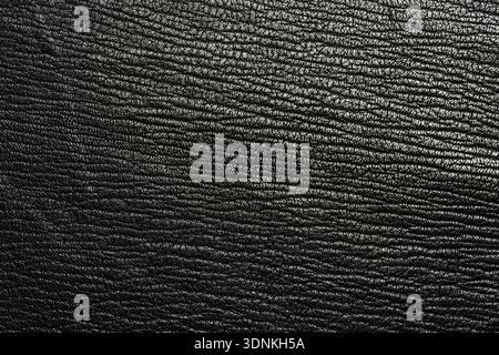 Texture of black pebble leather closeup. Production and fashion background. Stock Photo