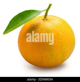 Yellow tangerine fruit with green leaf isolated on white background. File contains clipping path. Stock Photo