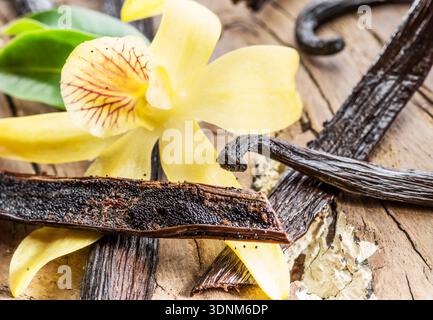 Vanilla orchid seeds Stock Photo - Alamy