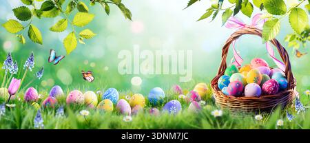Easter Eggs In Basket On Grass In Spring Green Garden Stock Photo