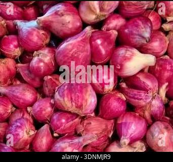 Close-up view of fresh red shallots piled together, showing natural texture, skin layers, and color variation. Raw agricultural produce commonly used Stock Photo