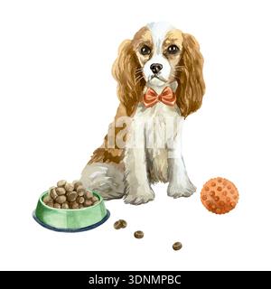 Spaniel sitting with a food bowl and a red ball. Hand drawn watercolor illustration. Vector clip art for postcards, dog food labels and toys. Suitable Stock Vector