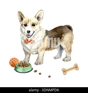 Corgi dog standing next to a bowl of dog food, a red ball and a bone. Hand drawn watercolor illustration. Vector clip art for postcards, food labels Stock Vector