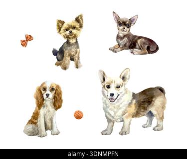 Dog set, Yorkshire Terrier, Spaniel, Chihuahua, Corgi. Hand drawn watercolor illustration. Vector clip art for postcards, food labels and toys Stock Vector