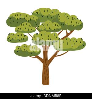 vector multi-branched acacia tree with multiple rounded crowns, stylized flat illustration Stock Vector