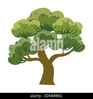 vector lush acacia tree with dense layered crown, stylized cartoon foliage Stock Vector