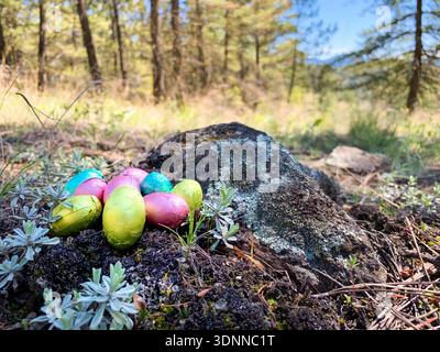 Close up low angle view of foil wrapped Easter eggs in a meadow in forest with trees and blue sky in the distance Stock Photo