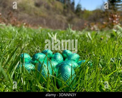Close up low angle view of foil wrapped Easter eggs in a meadow in forest with trees and blue sky in the distance Stock Photo