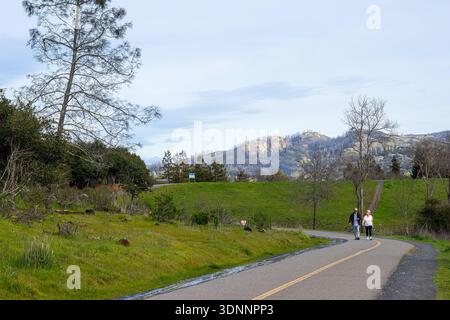People walking at Spring Lake Regional Park in Santa Rosa, Sonoma County, California. Walking and biking trail through the park in spring or summer. Stock Photo
