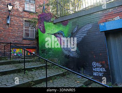 “All Weather Artist” bird mural in the Underbanks area of Stockport, Greater Manchester, painted on a brick wall beside steps and railings. Stock Photo