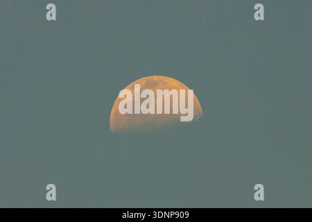 Photograph of an orange half moon rising during the day in mid afternoon in the Blue Mountains in NSW, Australia. Stock Photo
