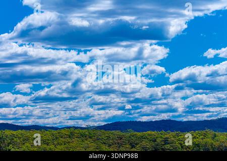 Photograph of white Cumulus clouds against a vibrant blue sky floating over a forest in a valley in the Blue Mountains in Australia. Stock Photo