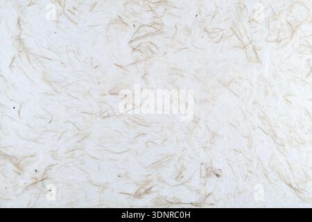 Fibrous paper Stock Photo