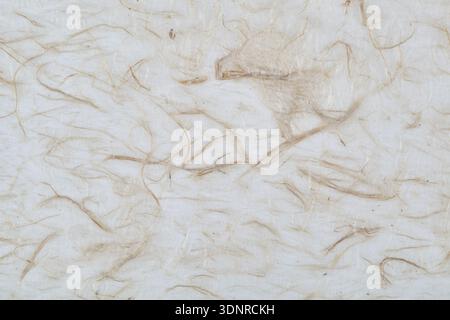 Fibrous paper Stock Photo