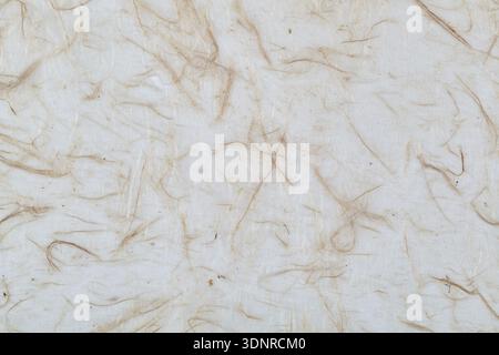 Fibrous paper Stock Photo
